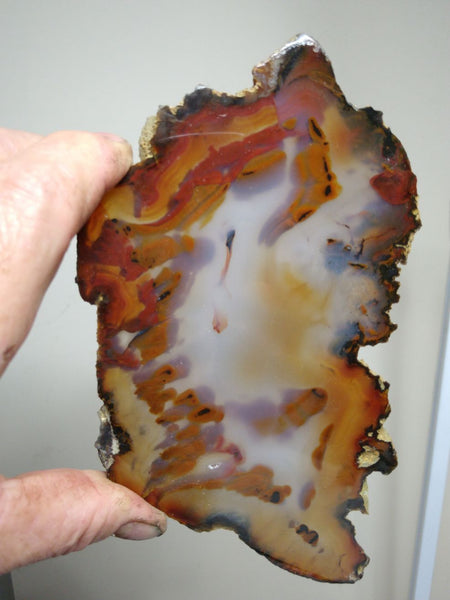 Polished Brazilian Agate . BA117