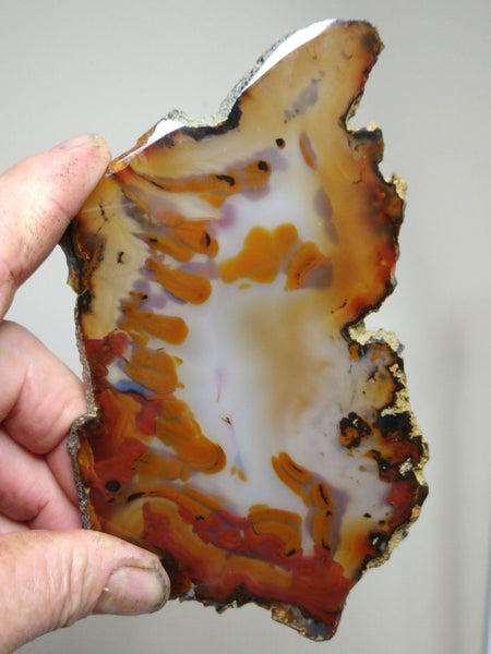 Polished Brazilian Agate . BA117
