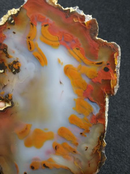 Polished Brazilian Agate . BA117