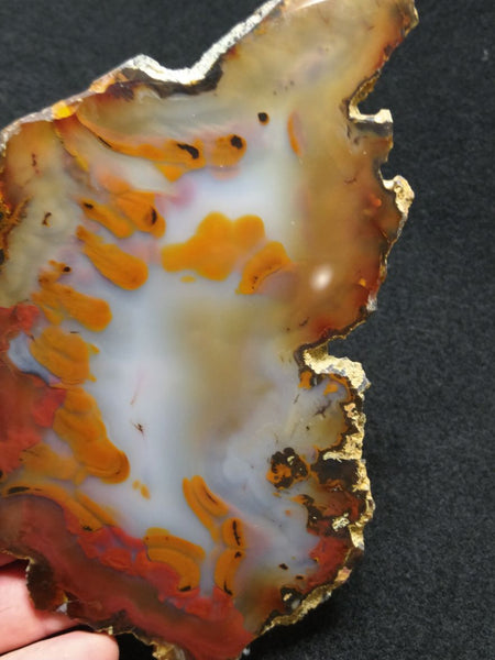 Polished Brazilian Agate . BA117