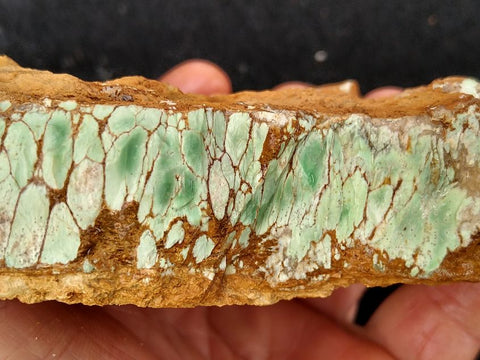 Variscite rough.  VR 310