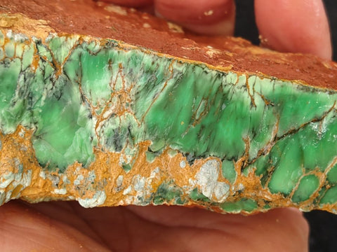 Variscite rough.  VR 311