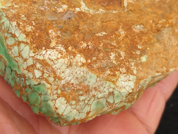 Variscite rough.  VR 325