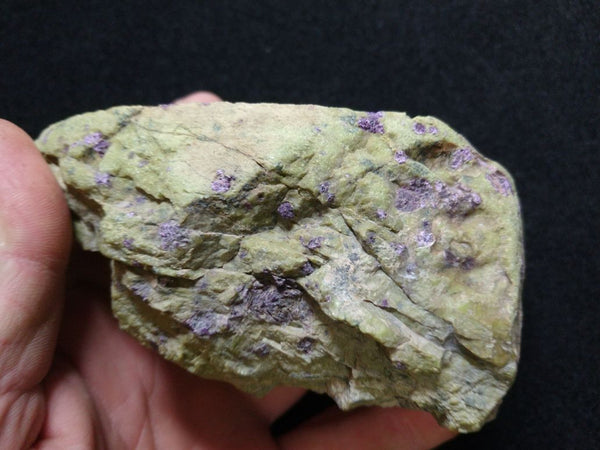 Polished Stichtite in Serpentine (Atlantisite) STI132