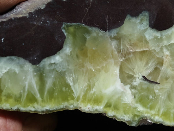 Polished Prehnite PR109