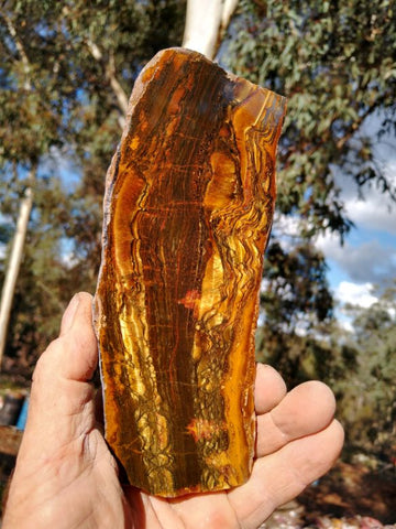 Polished Tiger Eye slab TE331