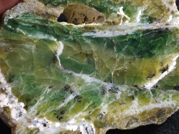 Polished Green Opal slab GREEN65