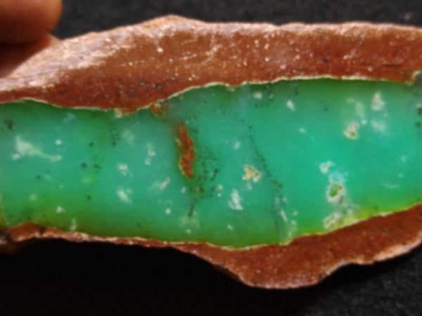 Polished Chrysoprase CH389