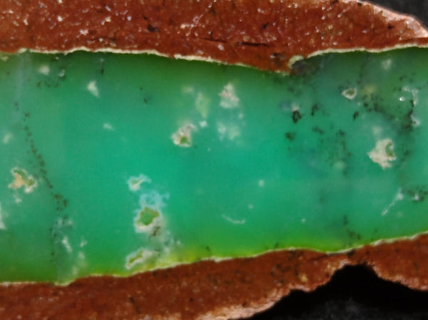 Polished Chrysoprase CH389