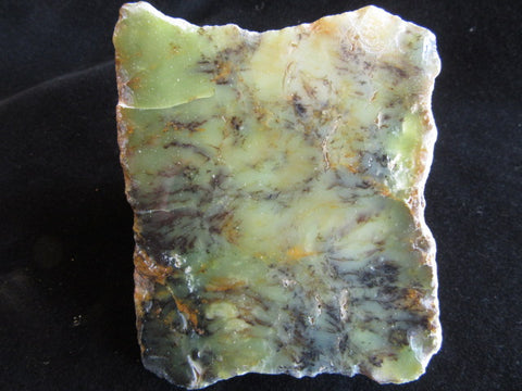 Polished Dendritic Opal DO154
