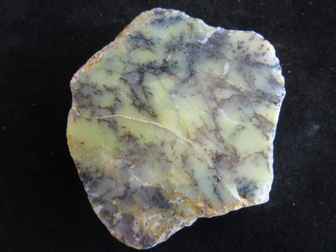Polished Dendritic Opal DO153