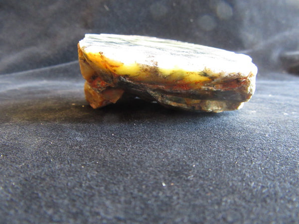 Polished Dendritic Opal DO153