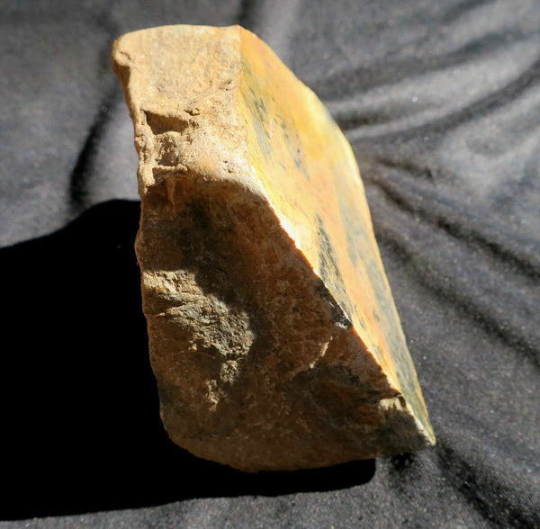 Polished fossil stromatolite. Pilbaria perplexa. PP117.