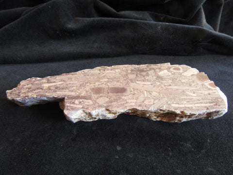 Stromatolitic Dolomite SD154