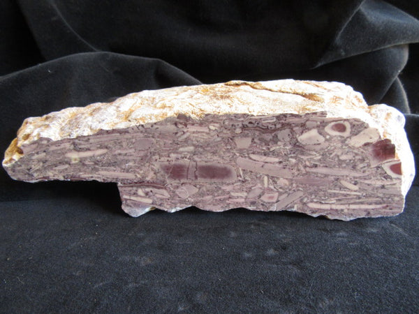 Stromatolitic Dolomite SD154