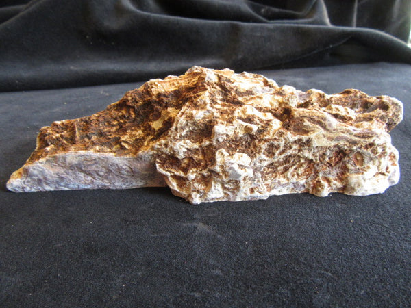 Stromatolitic Dolomite SD155