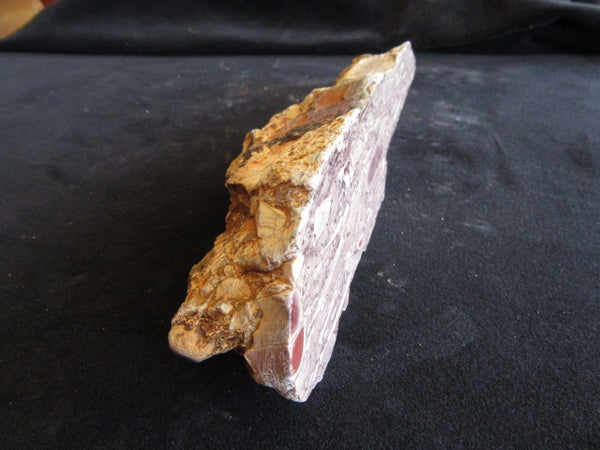 Stromatolitic Dolomite SD155