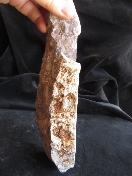 Stromatolitic Dolomite SD154