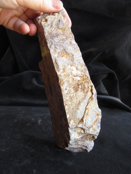 Stromatolitic Dolomite SD154