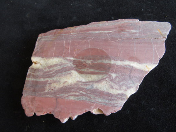 Stromatolitic Dolomite SD151