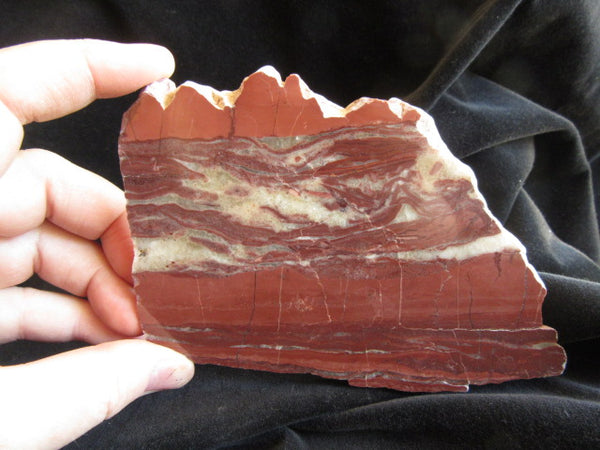 Stromatolitic Dolomite SD151
