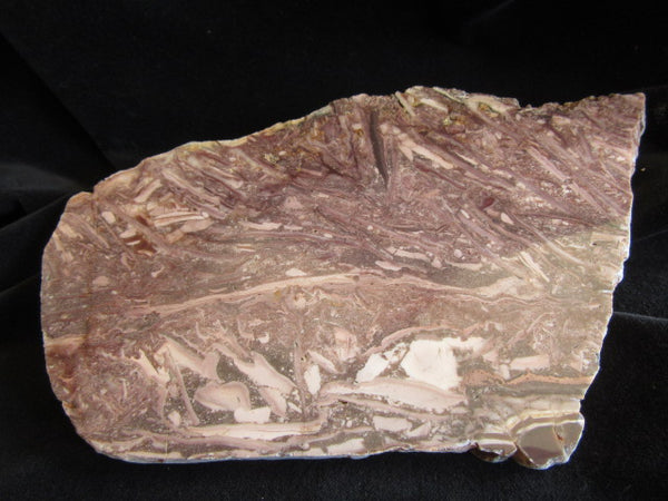 Stromatolitic Dolomite SD156