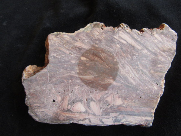 Stromatolitic Dolomite SD157