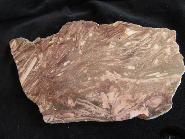 Stromatolitic Dolomite SD159